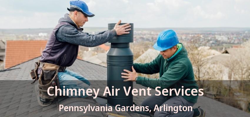 Chimney Air Vent Services Pennsylvania Gardens, Arlington - TX