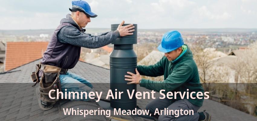 Chimney Air Vent Services Whispering Meadow, Arlington - TX