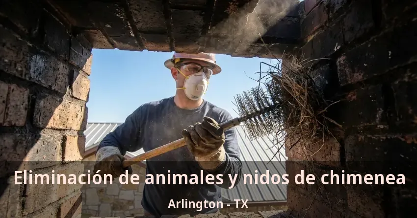 Eliminación de animales y nidos de chimenea Arlington - TX Eliminación de animales y nidos de chimenea Arlington - TX