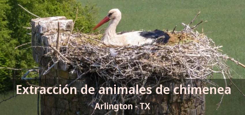 Extracción de animales de chimenea Arlington - TX