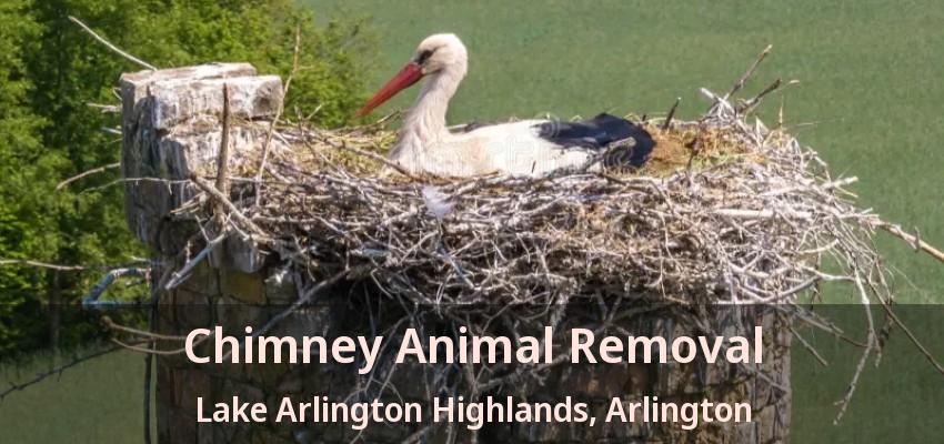 Chimney Animal Removal Lake Arlington Highlands, Arlington - TX