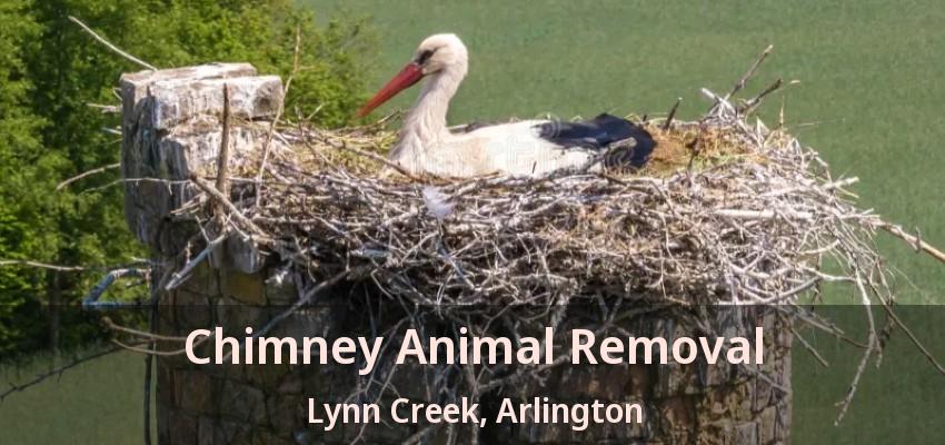 Chimney Animal Removal Lynn Creek, Arlington - TX