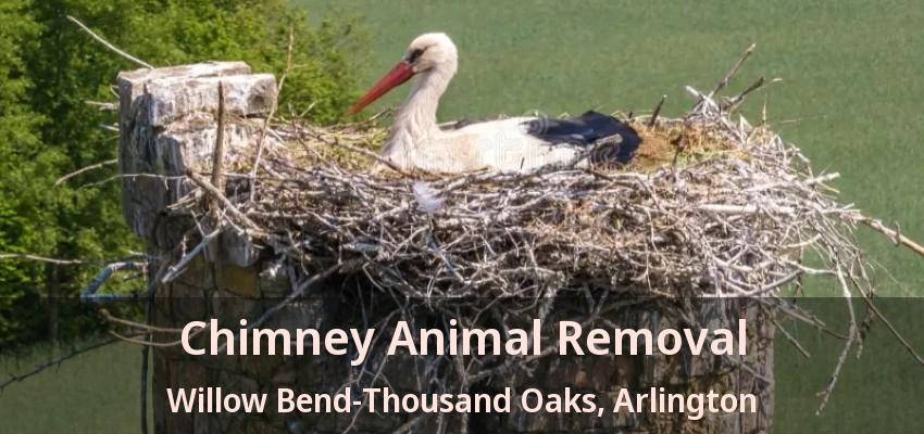 Chimney Animal Removal Willow Bend-Thousand Oaks, Arlington - TX