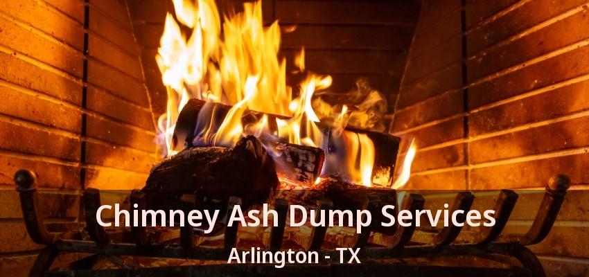 Chimney Ash Dump Services Arlington - TX