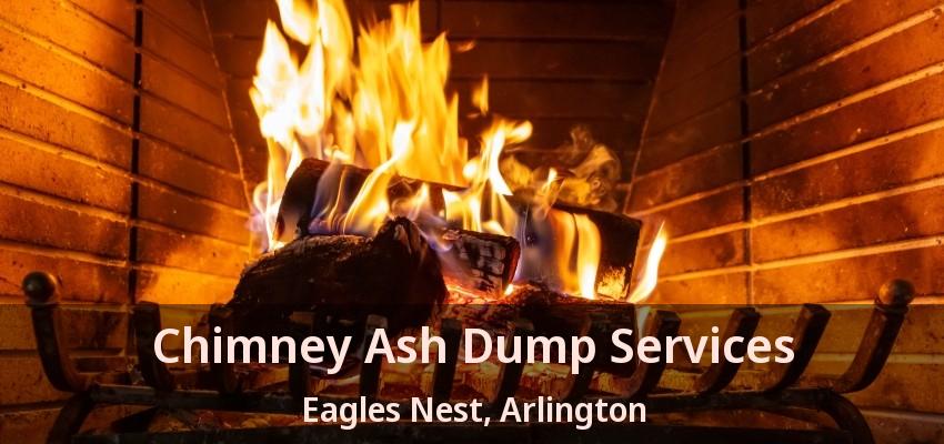 Chimney Ash Dump Services Eagles Nest, Arlington - TX