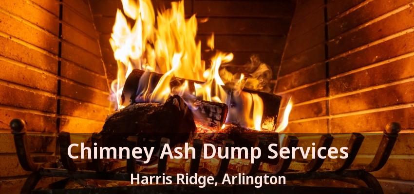 Chimney Ash Dump Services Harris Ridge, Arlington - TX