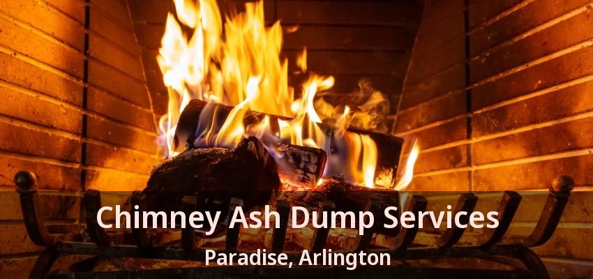 Chimney Ash Dump Services Paradise, Arlington - TX