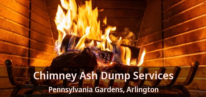 Chimney Ash Dump Services Pennsylvania Gardens, Arlington - TX