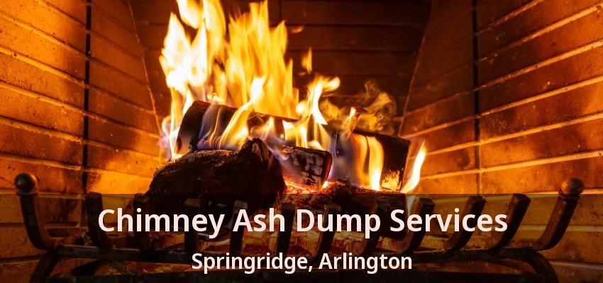 Chimney Ash Dump Services Springridge, Arlington - TX