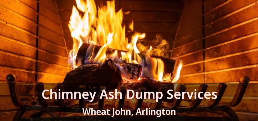 Chimney Ash Dump Services Wheat John, Arlington - TX