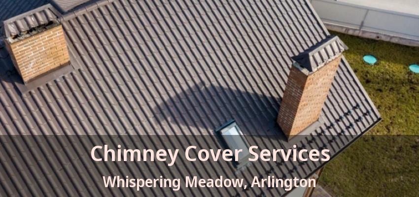 Chimney Cover Services Whispering Meadow, Arlington - TX