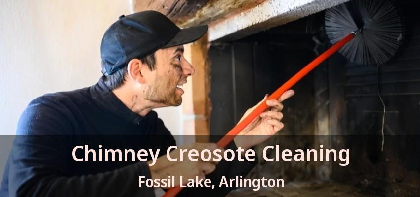 Chimney Creosote Cleaning Fossil Lake, Arlington - TX