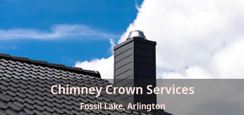 Chimney Crown Services Fossil Lake, Arlington - TX