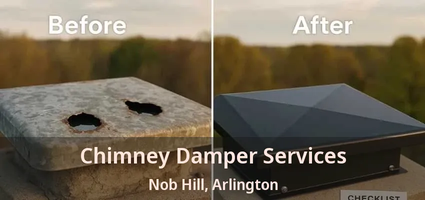 Chimney Damper Services Nob Hill, Arlington - TX