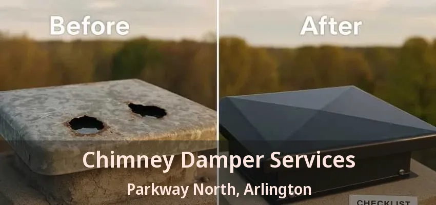 Chimney Damper Services Parkway North, Arlington - TX