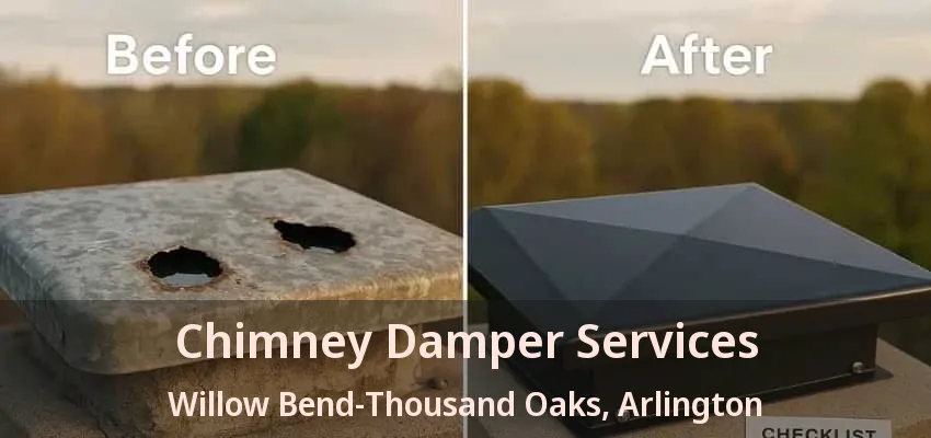 Chimney Damper Services Willow Bend-Thousand Oaks, Arlington - TX