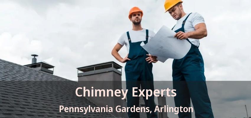 Chimney Experts Pennsylvania Gardens, Arlington - TX