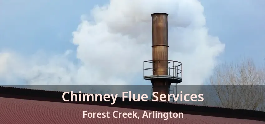 Chimney Flue Services Forest Creek, Arlington - TX