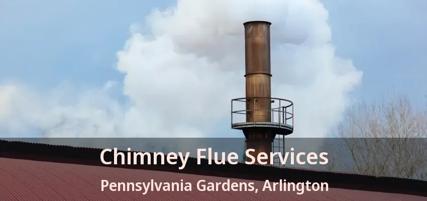 Chimney Flue Services Pennsylvania Gardens, Arlington - TX