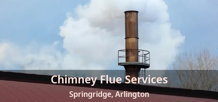 Chimney Flue Services Springridge, Arlington - TX