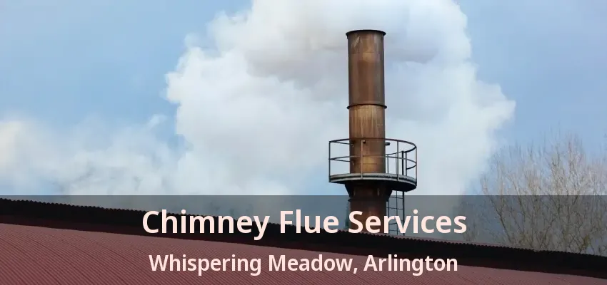 Chimney Flue Services Whispering Meadow, Arlington - TX