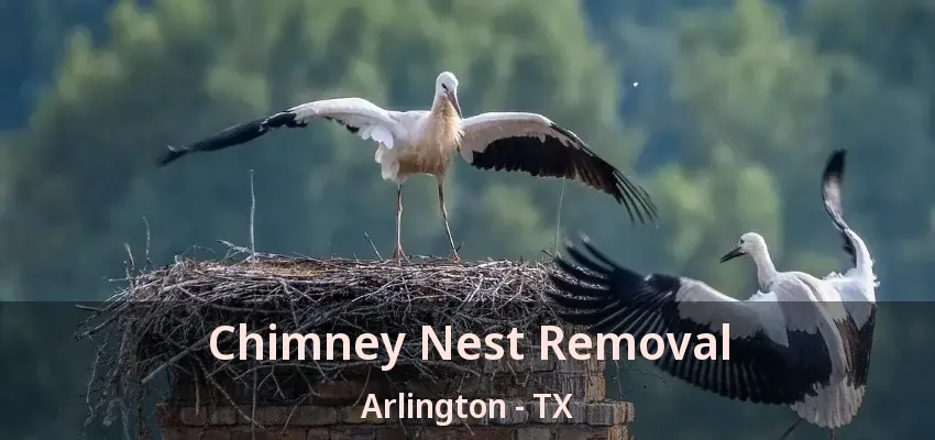 Chimney Nest Removal Arlington - TX