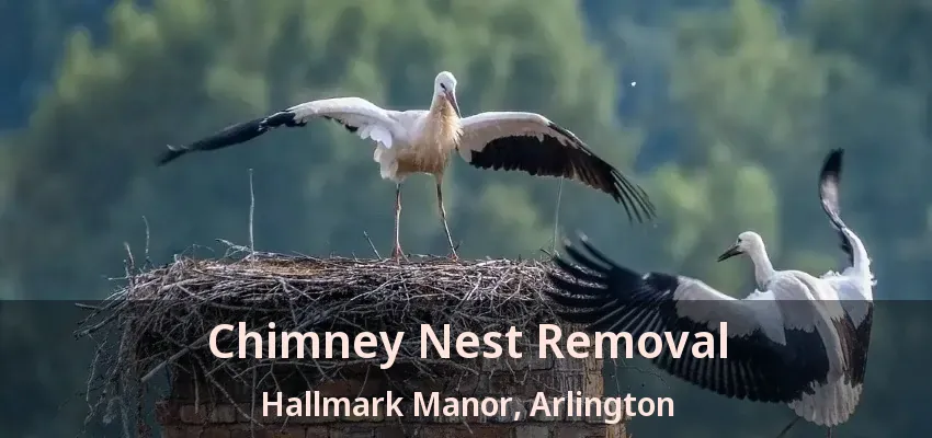 Chimney Nest Removal Hallmark Manor, Arlington - TX