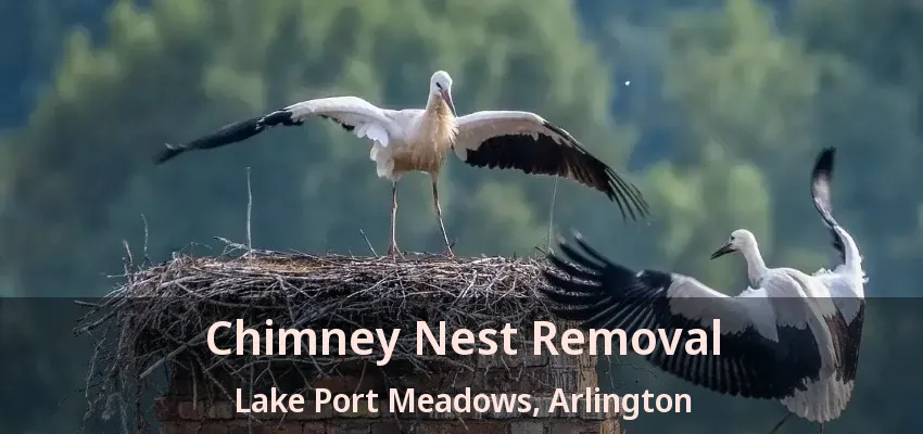 Chimney Nest Removal Lake Port Meadows, Arlington - TX