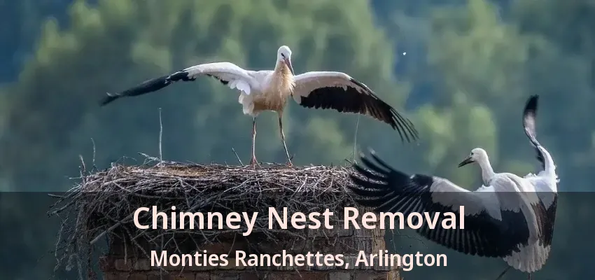 Chimney Nest Removal Monties Ranchettes, Arlington - TX