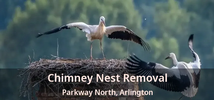 Chimney Nest Removal Parkway North, Arlington - TX
