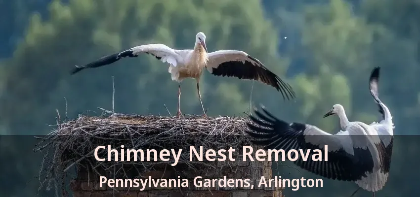 Chimney Nest Removal Pennsylvania Gardens, Arlington - TX