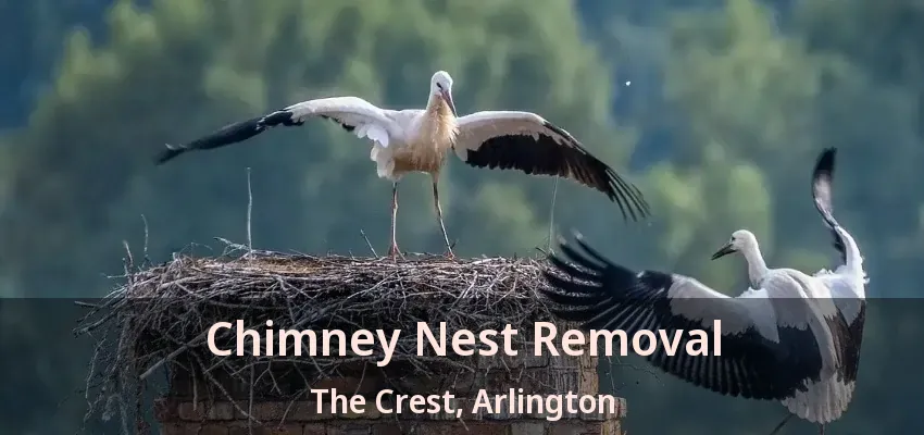 Chimney Nest Removal The Crest, Arlington - TX