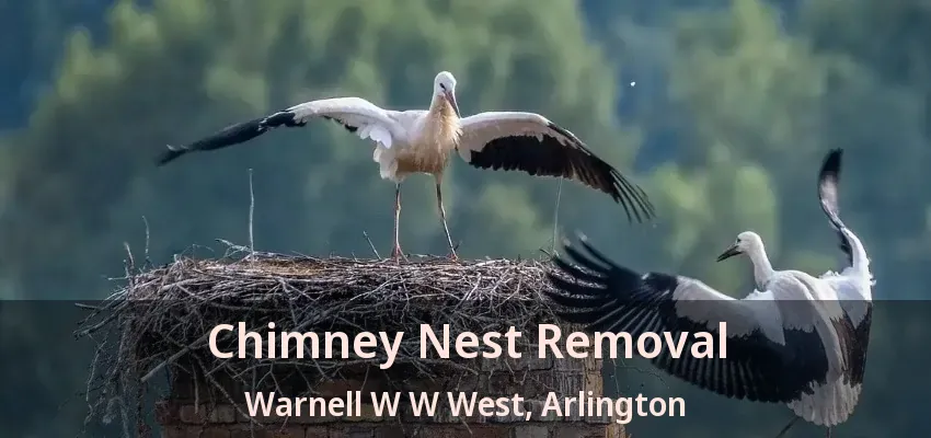 Chimney Nest Removal Warnell W W West, Arlington - TX