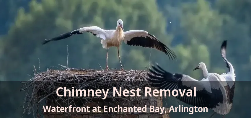 Chimney Nest Removal Waterfront at Enchanted Bay, Arlington - TX