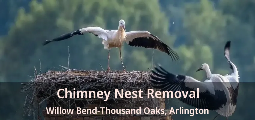 Chimney Nest Removal Willow Bend-Thousand Oaks, Arlington - TX