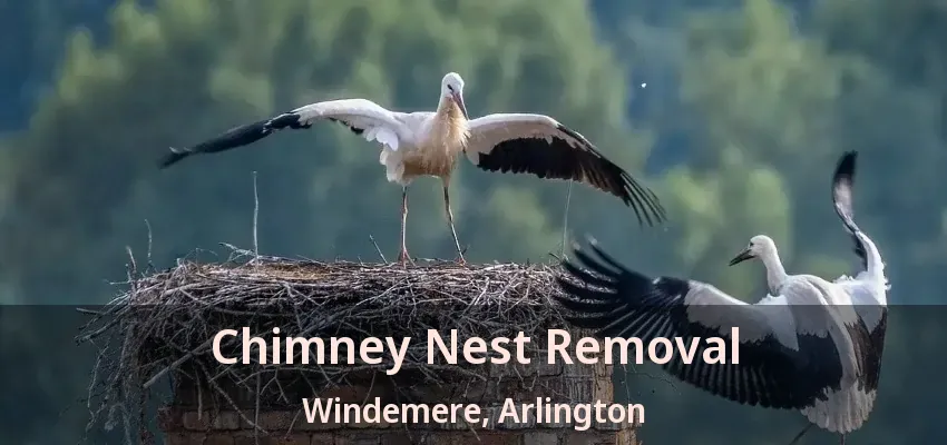 Chimney Nest Removal Windemere, Arlington - TX