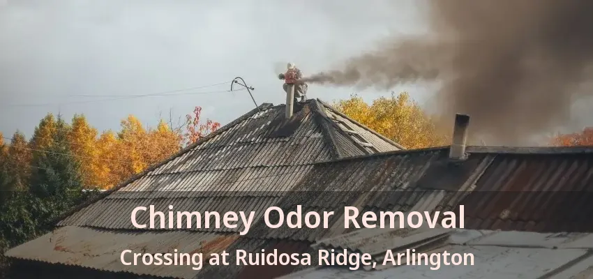 Chimney Odor Removal Crossing at Ruidosa Ridge, Arlington - TX
