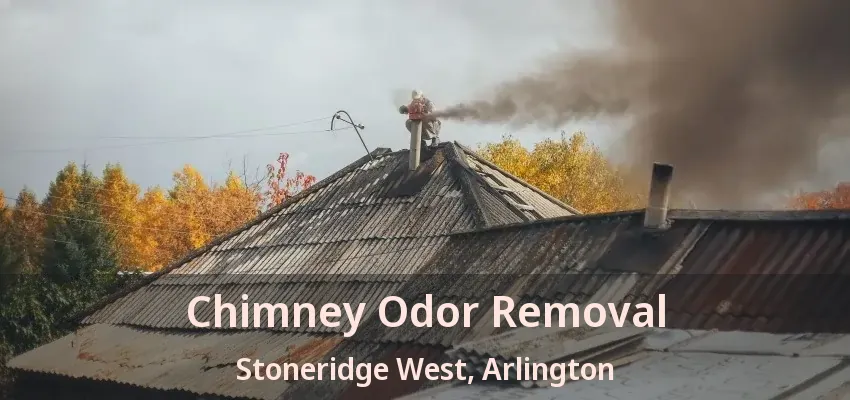 Chimney Odor Removal Stoneridge West, Arlington - TX
