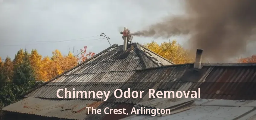 Chimney Odor Removal The Crest, Arlington - TX