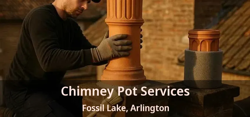 Chimney Pot Services Fossil Lake, Arlington - TX