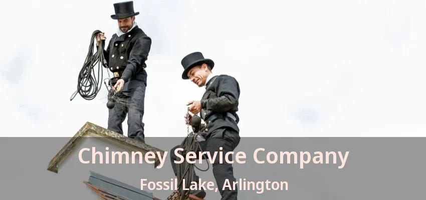 Chimney Service Company Fossil Lake, Arlington - TX