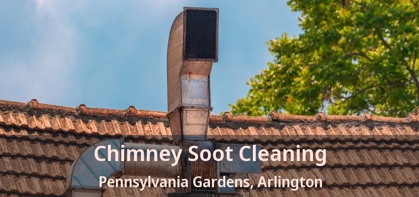 Chimney Soot Cleaning Pennsylvania Gardens, Arlington - TX