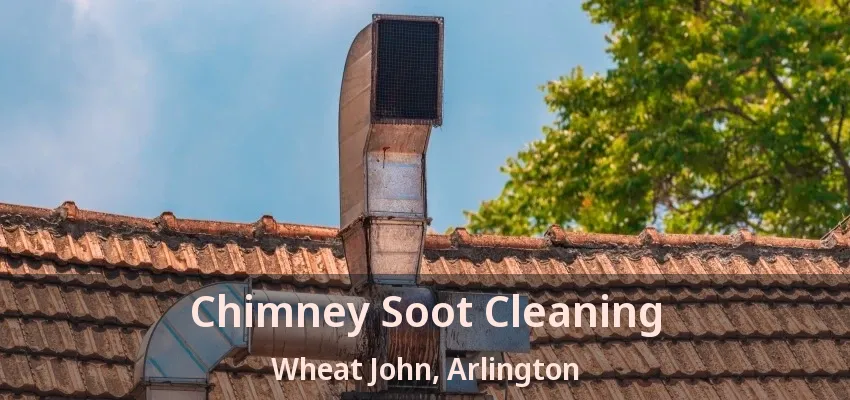 Chimney Soot Cleaning Wheat John, Arlington - TX
