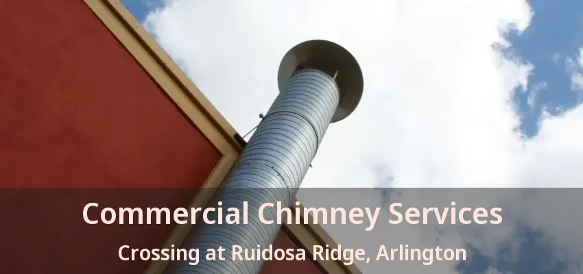 Commercial Chimney Services Crossing at Ruidosa Ridge, Arlington - TX