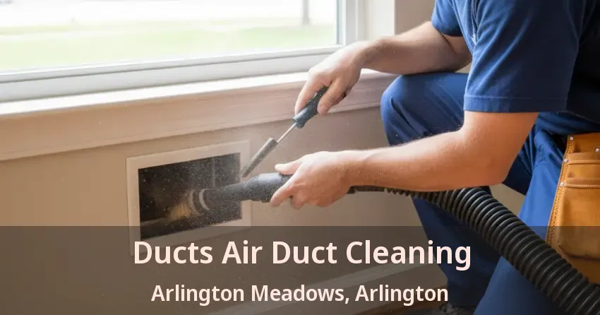 Ducts Air Duct Cleaning Arlington Meadows, Arlington - TX