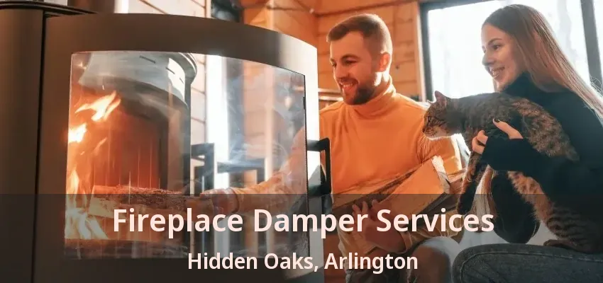 Fireplace Damper Services Hidden Oaks, Arlington - TX