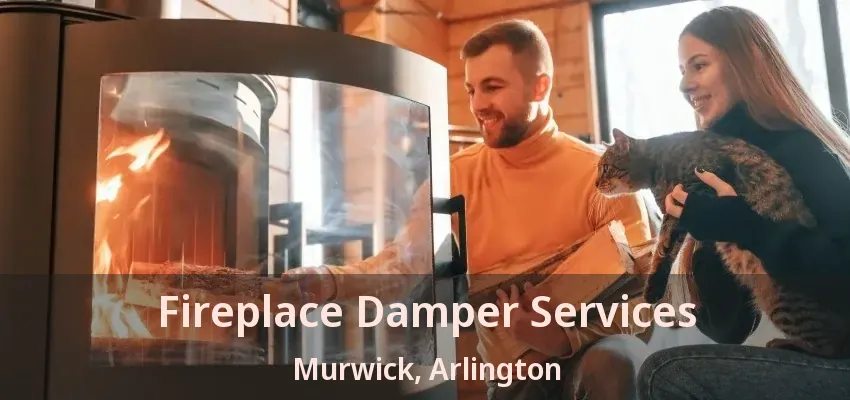 Fireplace Damper Services Murwick, Arlington - TX