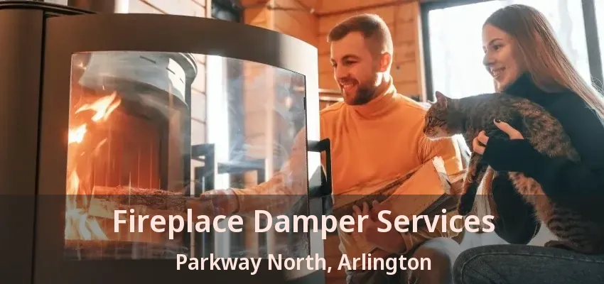 Fireplace Damper Services Parkway North, Arlington - TX