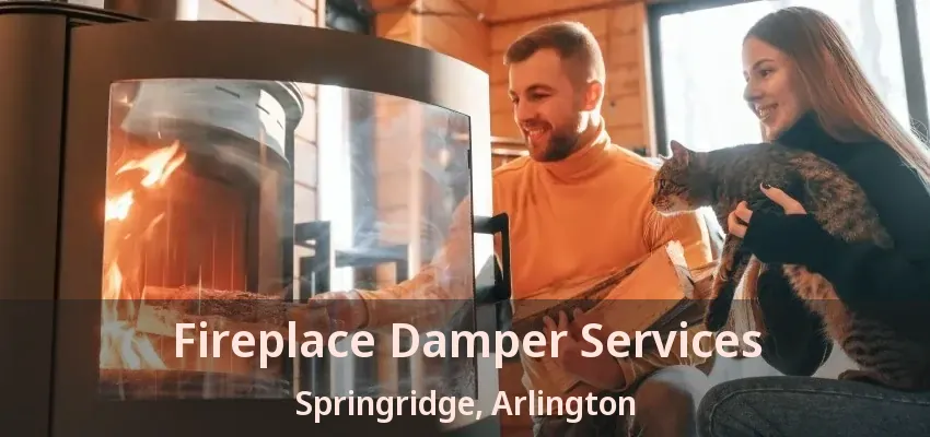 Fireplace Damper Services Springridge, Arlington - TX