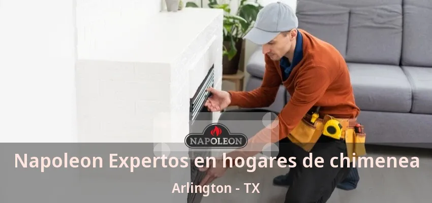 Napoleon Expertos en hogares de chimenea Arlington - TX Napoleon Expertos en hogares de chimenea Arlington - TX